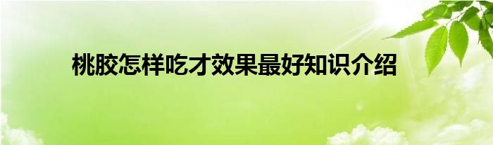 桃胶怎样吃才效果最好知识介绍