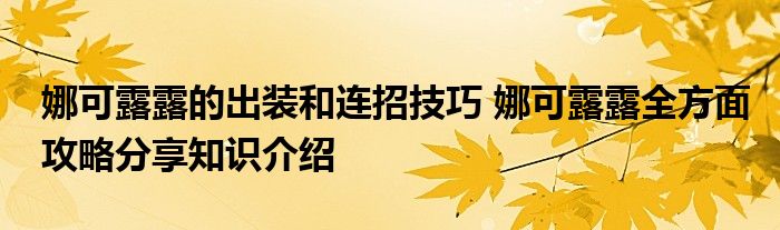 娜可露露的出装和连招技巧 娜可露露全方面攻略分享知识介绍