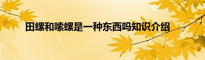 田螺和嗦螺是一种东西吗知识介绍