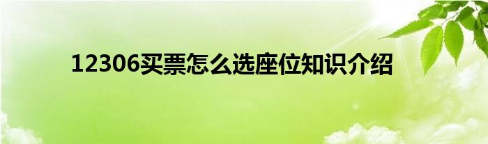 12306买票怎么选座位知识介绍