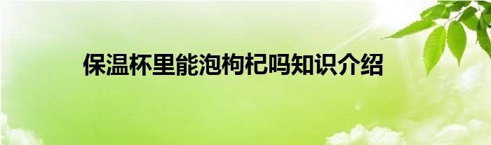 保温杯里能泡枸杞吗知识介绍