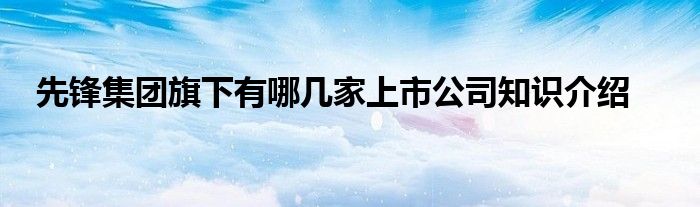 先锋集团旗下有哪几家上市公司知识介绍