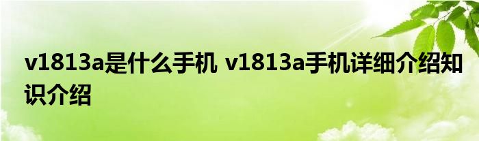 v1813a是什么手机 v1813a手机详细介绍知识介绍