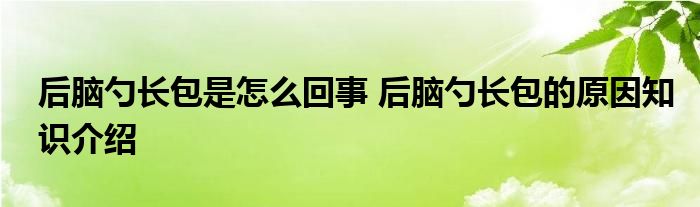 后脑勺长包是怎么回事 后脑勺长包的原因知识介绍