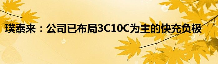 璞泰来：公司已布局3C10C为主的快充负极