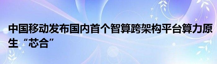 中国移动发布国内首个智算跨架构平台算力原生“芯合”