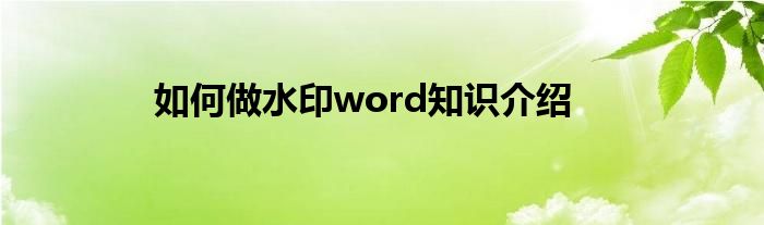 如何做水印word知识介绍