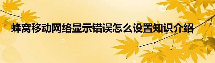 蜂窝移动网络显示错误怎么设置知识介绍