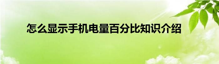 怎么显示手机电量百分比知识介绍