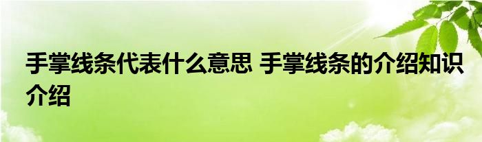 手掌线条代表什么意思 手掌线条的介绍知识介绍