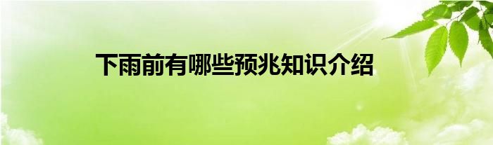 下雨前有哪些预兆知识介绍