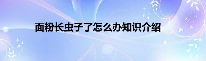 面粉长虫子了怎么办知识介绍