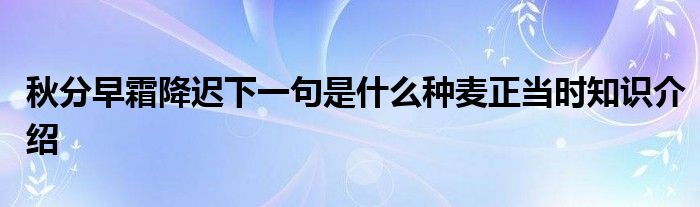 秋分早霜降迟下一句是什么种麦正当时知识介绍