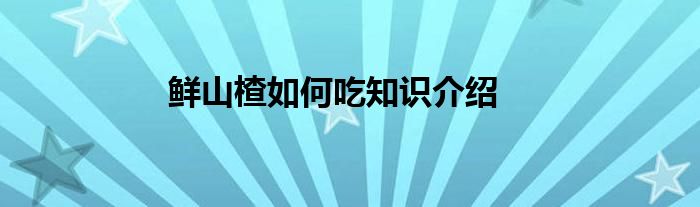 鲜山楂如何吃知识介绍