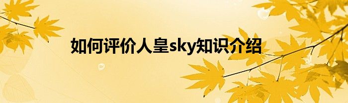 如何评价人皇sky知识介绍