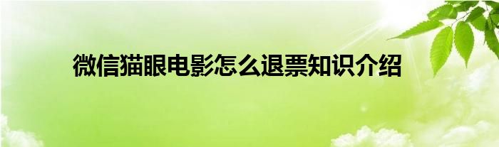 微信猫眼电影怎么退票知识介绍