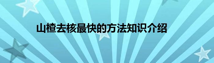 山楂去核最快的方法知识介绍