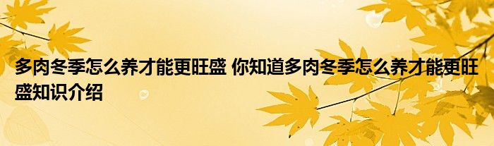 多肉冬季怎么养才能更旺盛 你知道多肉冬季怎么养才能更旺盛知识介绍