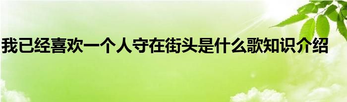 我已经喜欢一个人守在街头是什么歌知识介绍