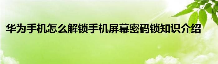 华为手机怎么解锁手机屏幕密码锁知识介绍