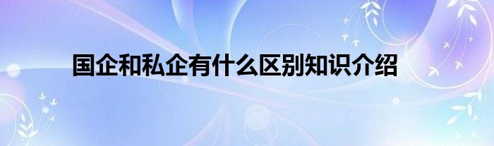 国企和私企有什么区别知识介绍