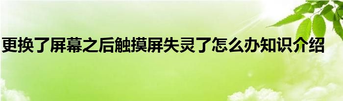 更换了屏幕之后触摸屏失灵了怎么办知识介绍