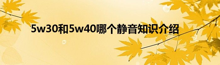 5w30和5w40哪个静音知识介绍