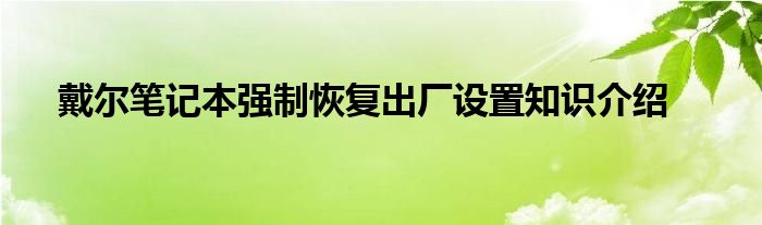 戴尔笔记本强制恢复出厂设置知识介绍