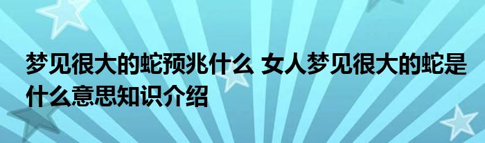 梦见很大的蛇预兆什么 女人梦见很大的蛇是什么意思知识介绍