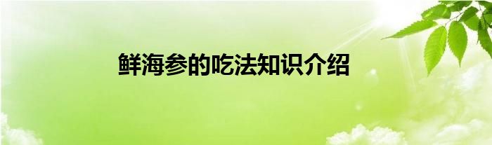 鲜海参的吃法知识介绍