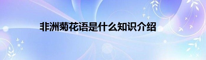 非洲菊花语是什么知识介绍