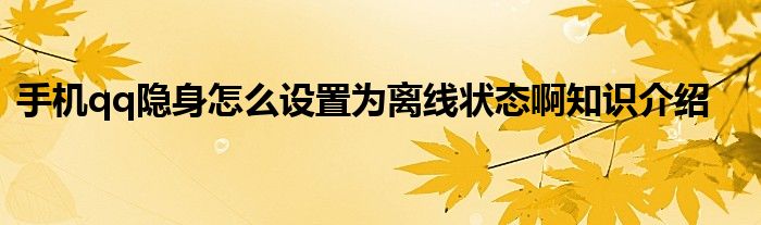 手机qq隐身怎么设置为离线状态啊知识介绍