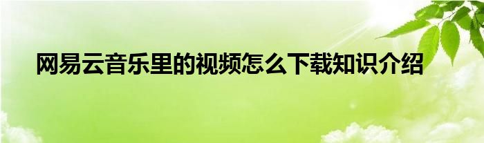 网易云音乐里的视频怎么下载知识介绍