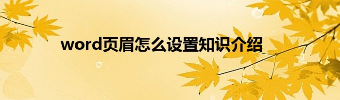 word页眉怎么设置知识介绍