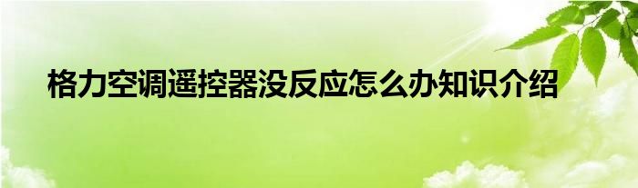 格力空调遥控器没反应怎么办知识介绍