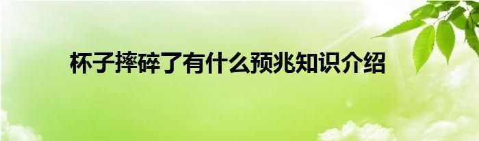 杯子摔碎了有什么预兆知识介绍