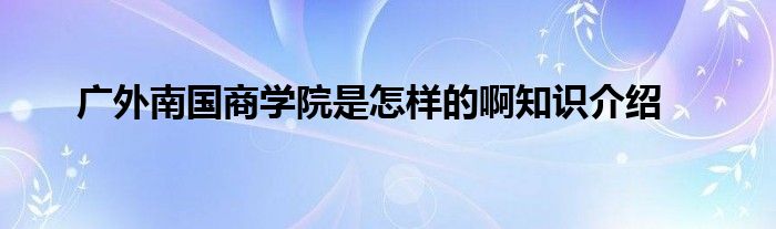 广外南国商学院是怎样的啊知识介绍