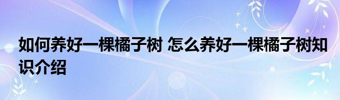 如何养好一棵橘子树 怎么养好一棵橘子树知识介绍