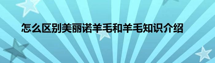 怎么区别美丽诺羊毛和羊毛知识介绍