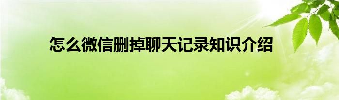 怎么微信删掉聊天记录知识介绍