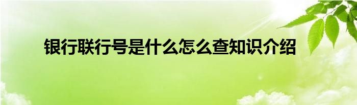 银行联行号是什么怎么查知识介绍