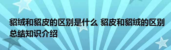 貂绒和貂皮的区别是什么 貂皮和貂绒的区别总结知识介绍