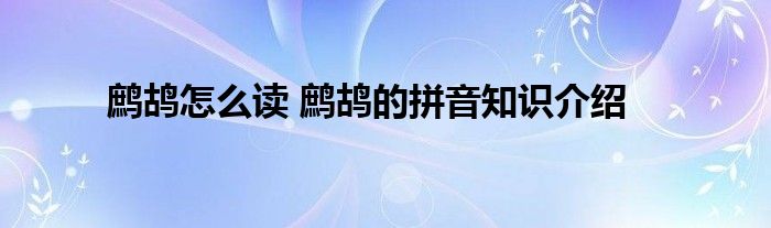 鹧鸪怎么读 鹧鸪的拼音知识介绍