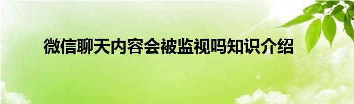 微信聊天内容会被监视吗知识介绍