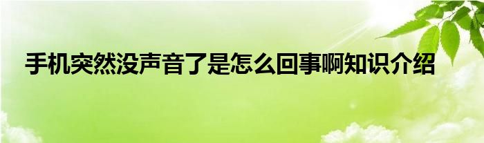 手机突然没声音了是怎么回事啊知识介绍