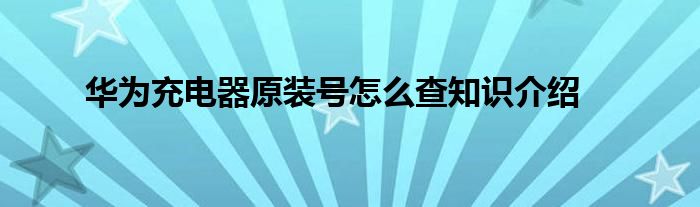 华为充电器原装号怎么查知识介绍