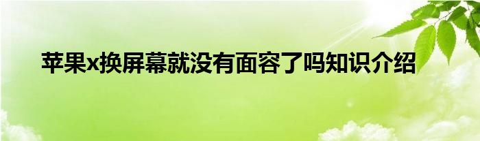 苹果x换屏幕就没有面容了吗知识介绍