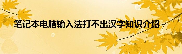 笔记本电脑输入法打不出汉字知识介绍