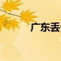 广东丢卡咩是什么意思知识介绍