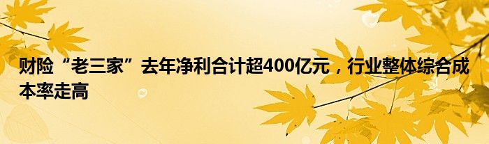 财险“老三家”去年净利合计超400亿元，行业整体综合成本率走高